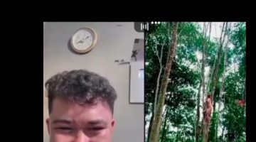 Viral Live TikTok Bugil, Diduga Pria Asal TABAGSEL Jadi Tontonan